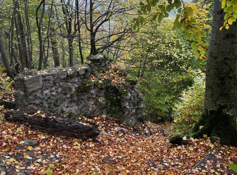 Zřícenina Hradu Křídlo, Czech Republic (Czechia)